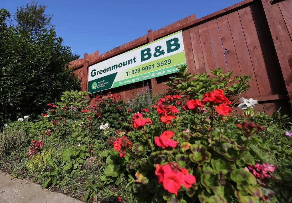 Greenmount Bed And Breakfast Belfast Eksteriør billede